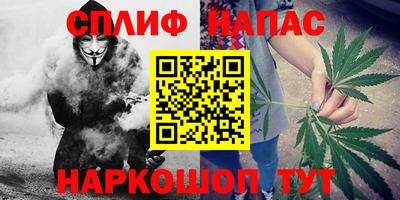 эйфоретик Краснодар
