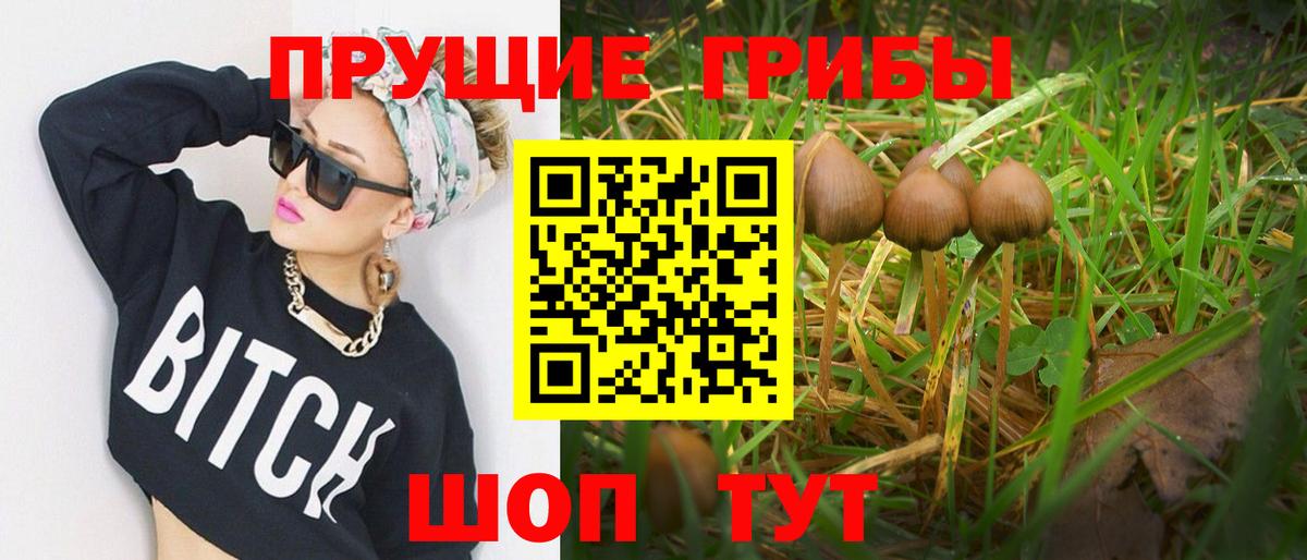 Псилоцибиновые грибы GOLDEN TEACHER  Псилоцибиновые грибы GOLDEN TEACHER  Красногорск  Вход с VPN 
